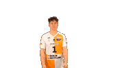 Volleyball Berlin Sticker by BR Volleys