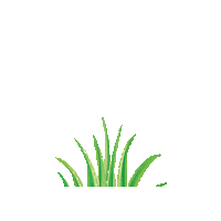 Hair Aloe Sticker by boessi