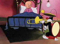 cat keeping GIF