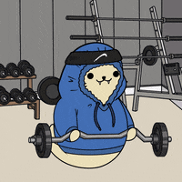Work Out Fun GIF by Sappy Seals Community