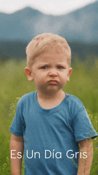 Es Un Día Gris