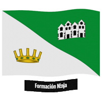 Comunidad Valenciana Bandera Sticker by Formación Ninja