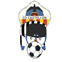 Football Sport Sticker by Pudgy Penguins
