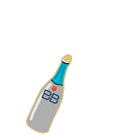Party Celebration Sticker by BB pezsgő & bor