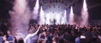 momentsofcolour dance music party belgium GIF