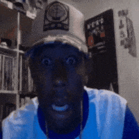 Shocked GIF