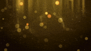 Bravo Поздравляю GIF by Zhot