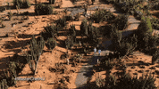 Cactus Mc15 GIF by MasterChefAU