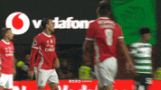 Sl Benfica Slbgifs GIF by Sport Lisboa e Benfica