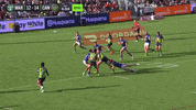 Try Nrl GIF by Canberra Raiders