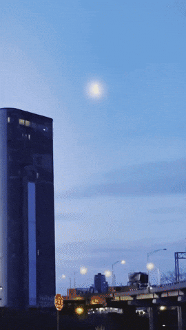 Martial Arts Mickael Casol GIF by Casol