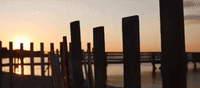 massachusetts GIF
