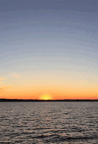 world wide nyc GIF by Ryan Seslow