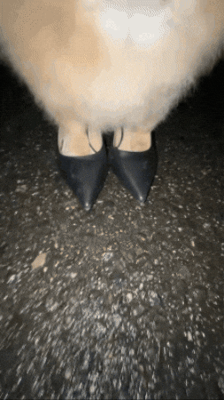 Dance Party GIF
