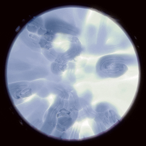 digital art glitch GIF