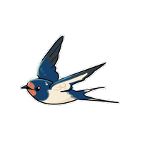Barn Swallow Bird Sticker
