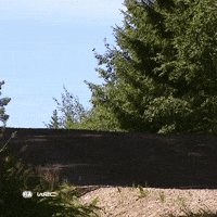 Taking Off Motorsport GIF by FIA World Rally Championship