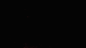 katebones music video goth stranger things blackout GIF