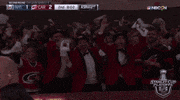 happy ice hockey GIF by NHL