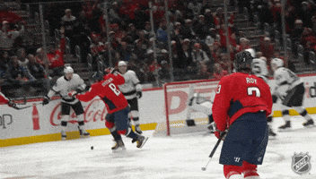 Happy Washington Capitals GIF by NHL