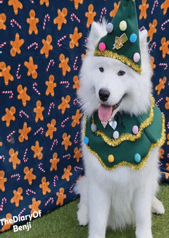 Dog Christmas GIF