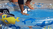 viergrad cold water viergrad kaltes wasser four degrees GIF