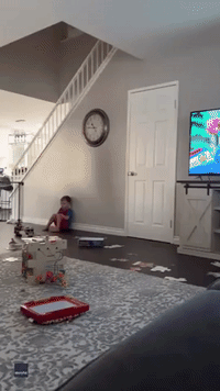 Loyal Toddler Joins Big Brother in Time Out at California Home