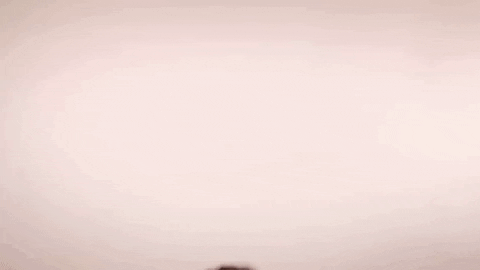 Shocked No Way GIF by Shalita Grant