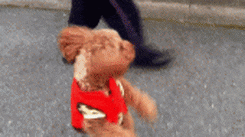 dog style GIF