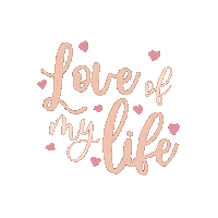 Love Of My Life Sticker