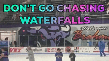 Ice Hockey GIF by Fort Worth Water