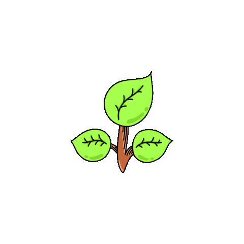 kmoteam giphyupload tree plant grow Sticker