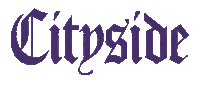 Citysidecrossfit crossfit rein graphics reingraphics cityside Sticker