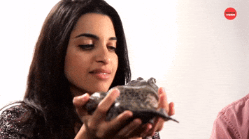 Kissing A Frog