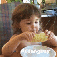 Cdnagday GIF by Ag More Than Ever