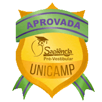 Sapi Aprovada Sticker by Cursinho Sapiência