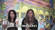 Jersey Shore GIF by Jersey Shore Family Vacation