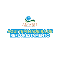 amarusustentabilidade amaru amaru sustentabilidade amarusustentabilidade madeira reflorestamento amaru Sticker