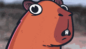 Cappys what confused nft fat GIF