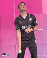 GIF by Somerset County Cricket Club
