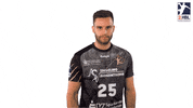 Handball-Bundesliga Logo GIF by LIQUI MOLY HBL