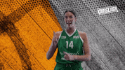 Sport Basketball GIF by Basket_fi