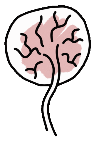 cardemom giphyupload birth geboorte placenta Sticker