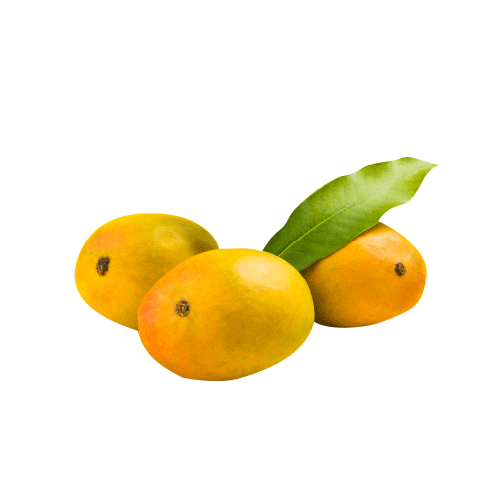 redrickshawfood giphyupload mango redrickshaw redrickshawmangoes Sticker