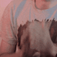 Hype Erfan GIF