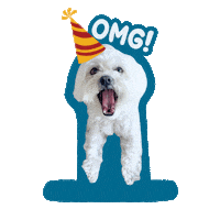 Happy Birthday Dog Sticker by Awesome Pawsome Treats