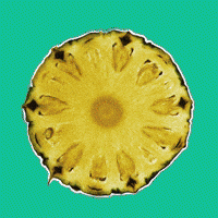Summer Comida GIF