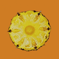 Summer Comida GIF
