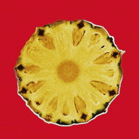 Summer Comida GIF