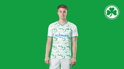 Swipe Up GIF by SpVgg Greuther Fürth